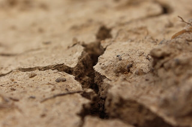 crack, land, drought crack, land, drought