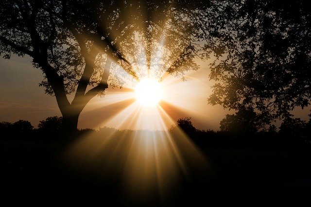 sun, dawn, nature sun, dawn, nature